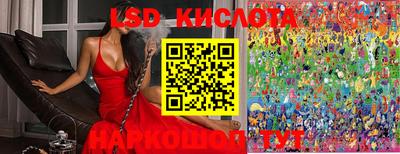mdpv Партизанск