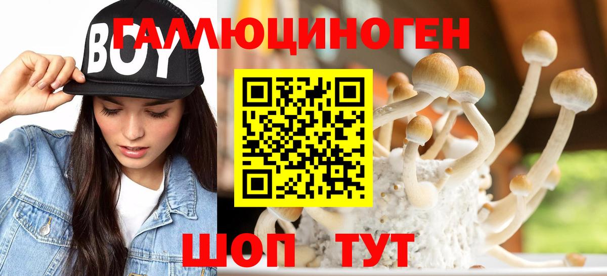 Псилоцибиновые грибы MAGIC MUSHROOMS Советск