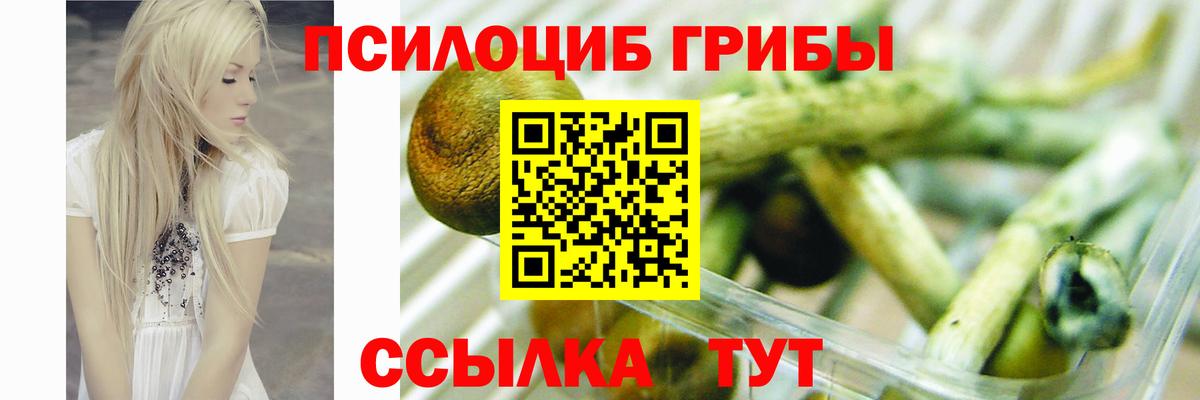 Галлюциногенные грибы Psilocybine cubensis  Вход с VPN  Советск 