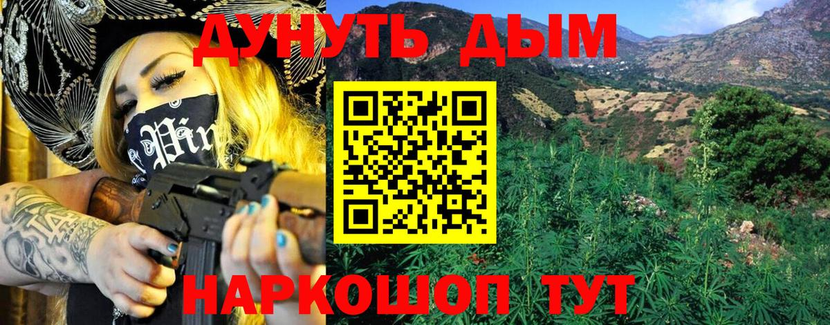 Галлюциногенные грибы Советск